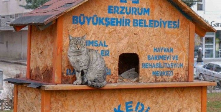 Sekmen; “Her can bize emanet”
