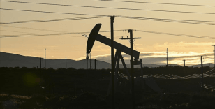 OPEC'in petrol üretimi nisanda günlük 48 bin varil azaldı