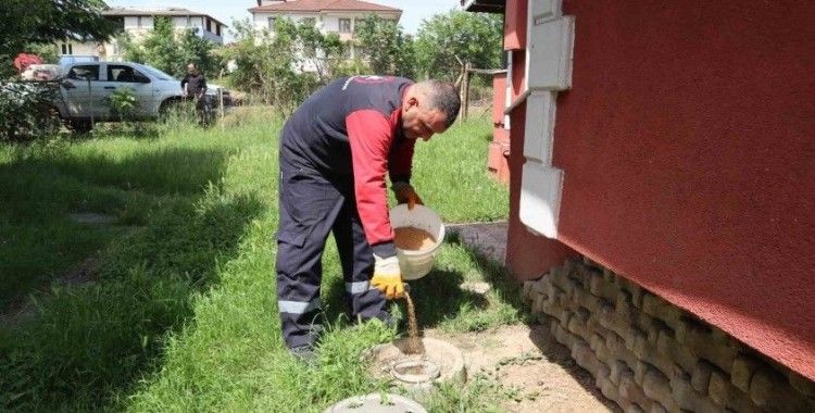 Düzce’de haşere ile mücadele sürüyor

