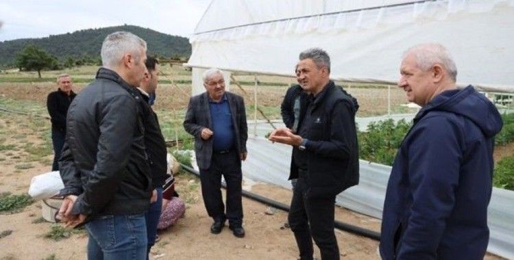 Sera alanlarında kontrol ve denetim çalışmaları devam ediyor