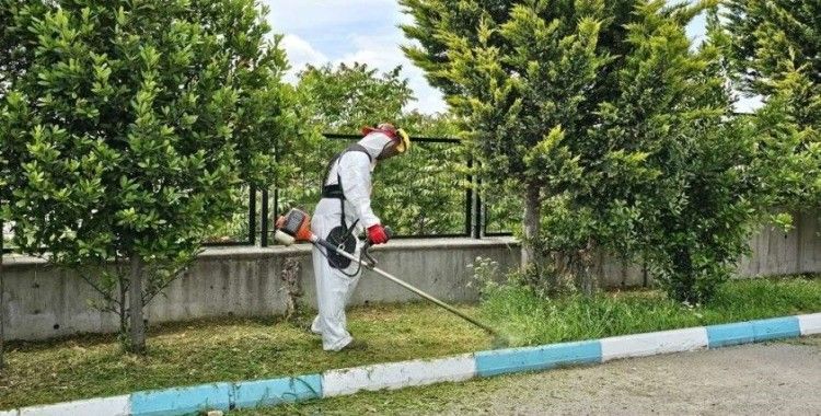 Dilovası’nda yaz temizliği başladı