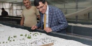 Başkan Eyüp Kahveci Tıbbi ve Aromatik Bitki Merkezini inceledi
