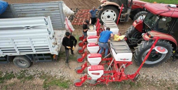 Tomarza’da kabak çekirdekleri ekildi
