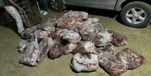 İncirliova’da 1 ton domuz eti ele geçirildi
