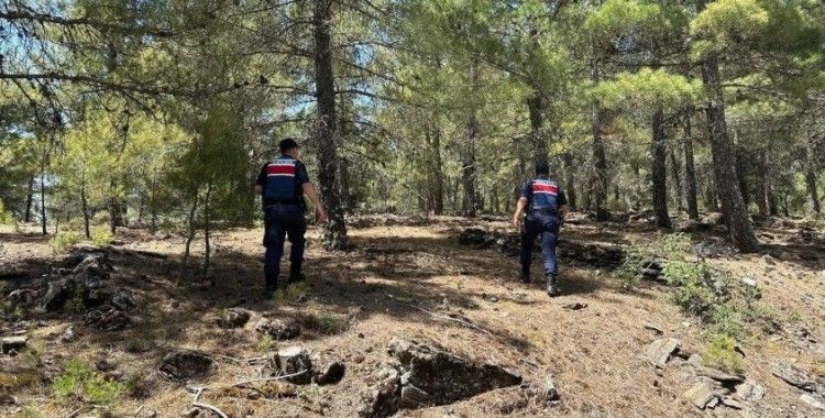Jandarmadan ’orman yangını’ tedbiri