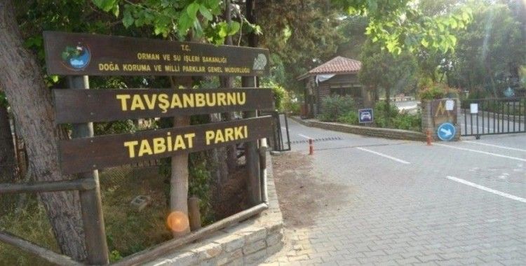 Didim'de orman kampı açıldı