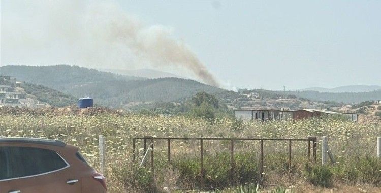 Milas’ta orman yangını