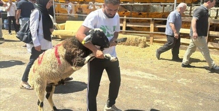 İstanbul'da bayramın 3. gününde kurbanlık alma telaşı sürdü