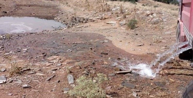 Bekilli’de vahşi hayvanlar için göletlere su takviyesi yapıldı
