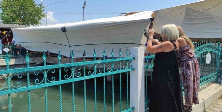 Fethiye’de Caretta Carettalar ilgi odağı haline geldi