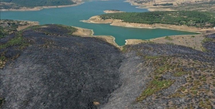 Balıkesir'deki orman yangını kontrol altına alındı