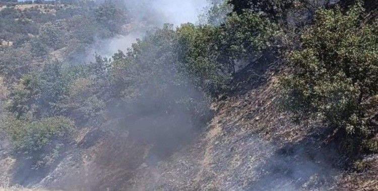Araçtan çıkan yangın ormana sıçrayan yangın kontrol altına alındı
