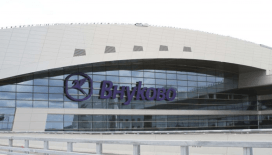 Vnukovo Havalimanı’nda enterovirüs enfeksiyonu nedeniyle sağlık kontrolü artırıldı