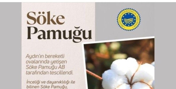 Bakan Yumaklı’dan Söke Pamuğu paylaşımı
