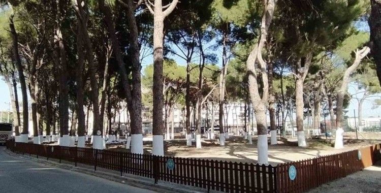 Büyükşehir tescilli tarihi Muradiye Mezarlığı’na sahip çıktı