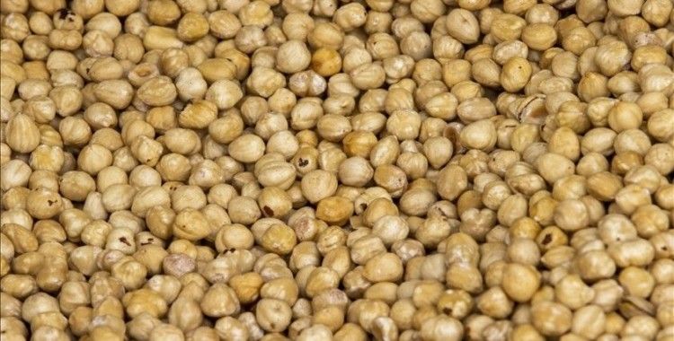 Ticaret borsalarında 2 ayda 174 bin tonu aşkın fındık işlem gördü