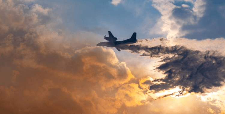 Kaçak kazı yaparken orman yakan sanıkların 18 yıla kadar hapsi istendi