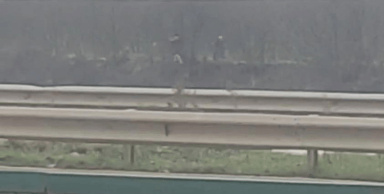 Düzce'de 23 kaçak göçmen yakalandı