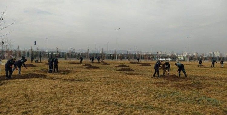 Türkiye’nin en büyük millet bahçesinde bahar hazırlıkları başladı

