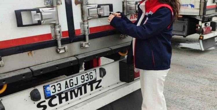 Söke’nin balıkları, Rusya ve İtalya yolcusu
