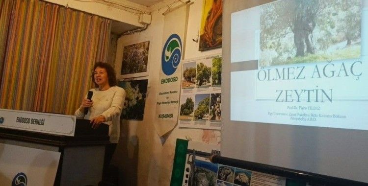 Aydın’da ölmez ağaç konuşuldu
