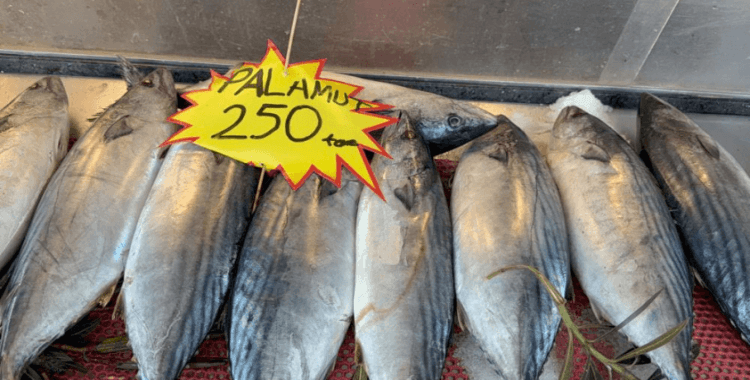 Karadeniz'de palamut sezonu yeniden açıldı