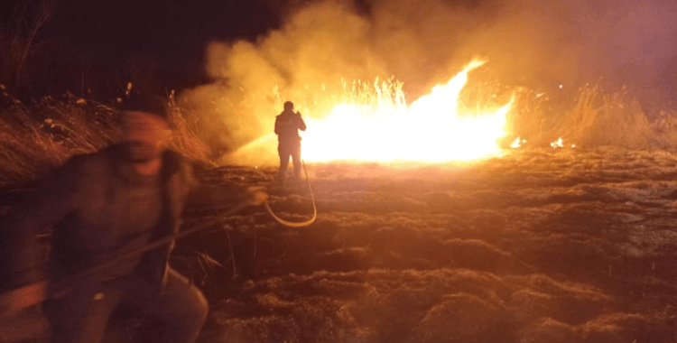 Malatya'da sazlık alanda yangın