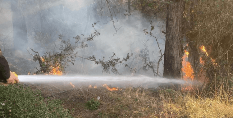 Osmaniye'de orman yangını