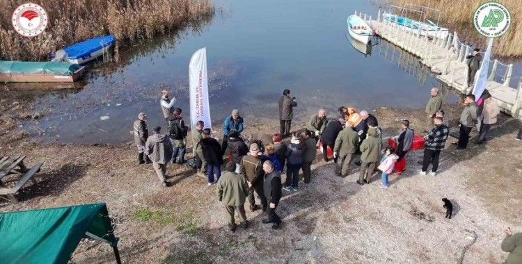 Yaban ördekleri suyla buluştu
