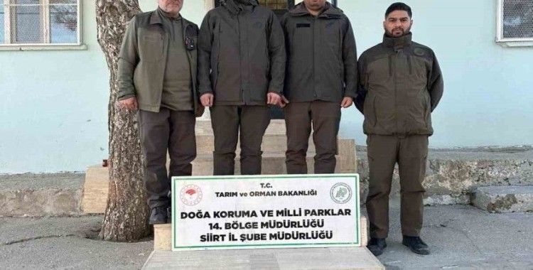 Siirt’te kaçak avlanan keklikler doğaya bırakıldı
