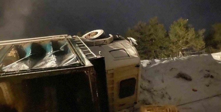 Erpiliç’in tavuk yüklü kamyonu devrildi: Yüzlerce tavuk telef
