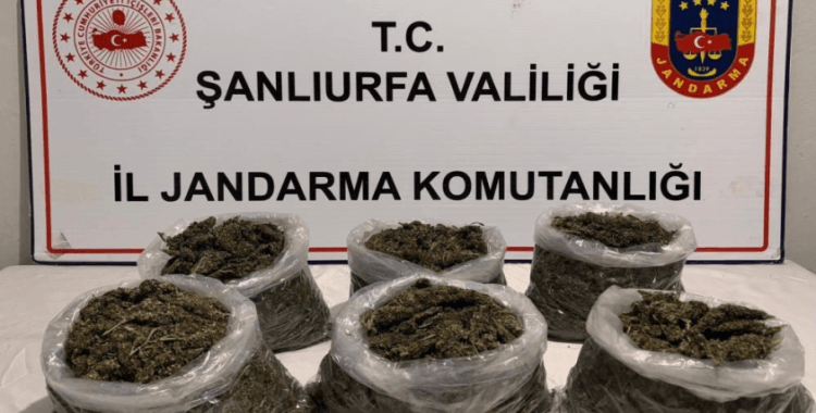 Şanlıurfa'da uyuşturucu operasyonu: 16 gözaltı