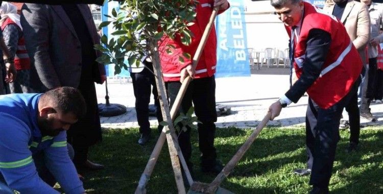Akdeniz Belediyesi, depremde hayatını kaybedenler anısına fidan dikti
