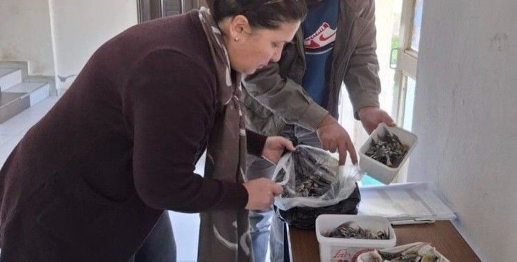 Balon balığıyla mücadele kapsamında balıkçılara bilgilendirme yapıldı
