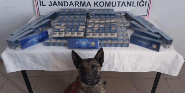 Ağrı'da 6 bin 548 paket kaçak sigara ele geçirildi