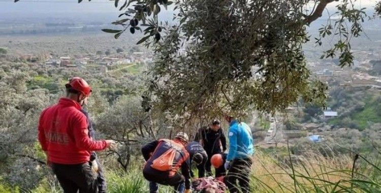 Ağaçtan düşerek ayağı kırılan vatandaşı ekipler kurtardı
