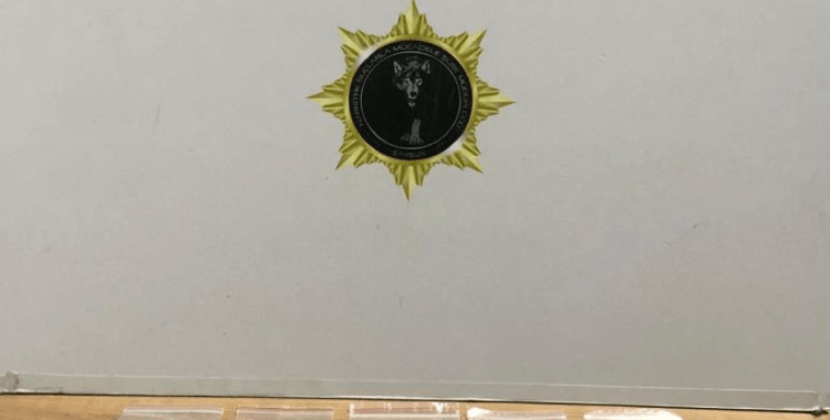 Samsun'da uyuşturucu operasyonu: 1 gözaltı