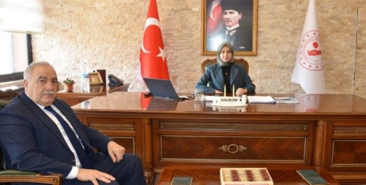 Tercan'da kurtuluş hazırlıkları devam ediyor