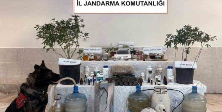 Ortaca’da uyuşturucu üretim düzeneği ele geçirildi
