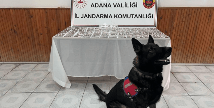 Adana'da uyuşturucu operasyonunda 1680 hap ele geçirildi