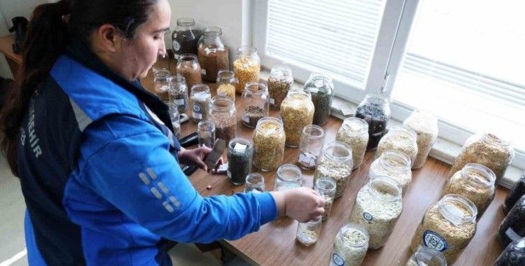 Muğla Büyükşehir’in yerel tohum dağıtımı devam ediyor
