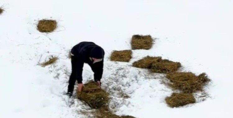 Doğu’da yaban hayvanları için doğaya yem bırakıldı
