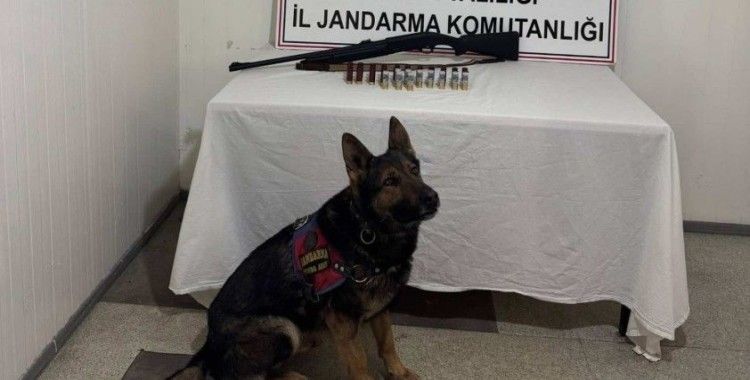 Bingöl’de 8 şüpheli yakalandı
