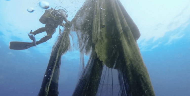 Denizlerden 224 futbol sahası büyüklüğünde hayalet ağ çıkarıldı