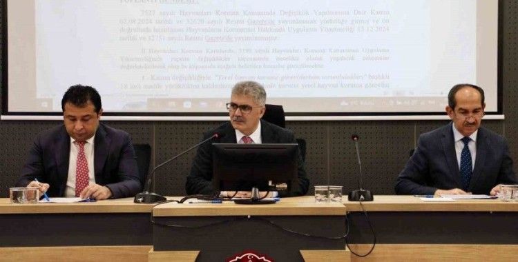 Niğde’de başıboş hayvanlar için doğal yaşam alanı oluşturulacak
