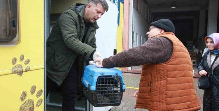 Sokak kedilerine şefkat eli
