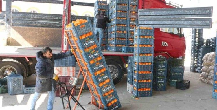 Diyarbakır’da soğuk hava sebze ve meyve fiyatlarını etkiledi
