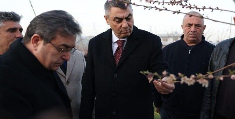 Mersin Valisi Toros, zirai dondan etkilenen arazilerde inlemede bulundu
