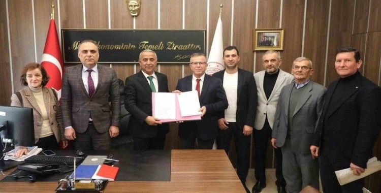 Samsun’da büyükbaş hayvanlar için küpeleme yetki devri gerçekleştirildi
