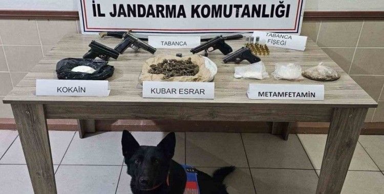 Jandarma ekipleri Şubat ayında 61 şahıs hakkında yasal işlem yaptı
